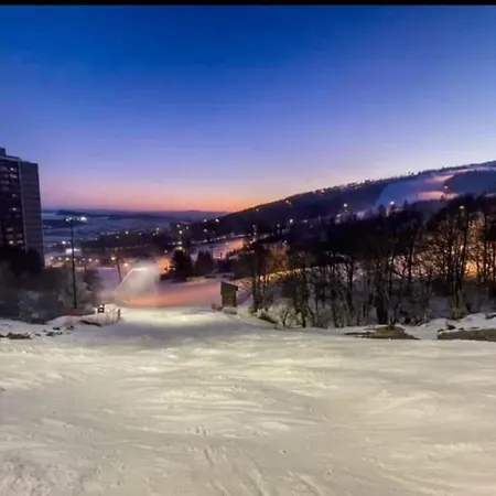Le Refuge Des Gentianes Besse-et-Saint-Anastaise
